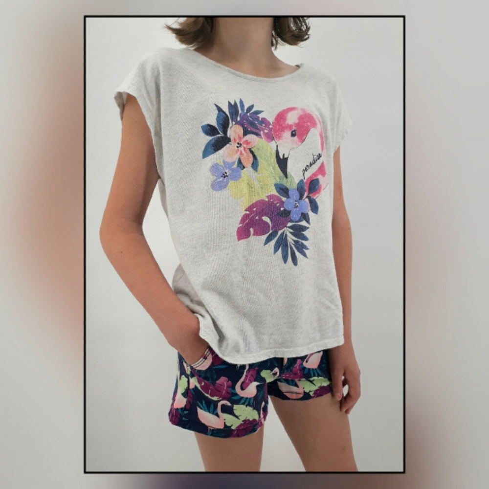 Gymboree Flamingo T-shirt